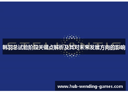 韩羽总试验阶段关键点解析及其对未来发展方向的影响