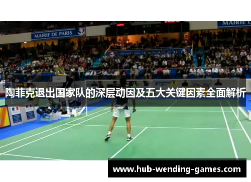 陶菲克退出国家队的深层动因及五大关键因素全面解析 陶菲克退出国家队的深层动因及五大关键因素全面解析
